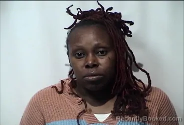 Mugshot of MONICA DENISE OWENS