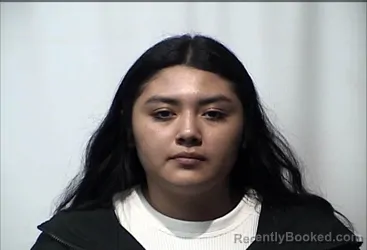 Booking photo from Christian County, Kentucky