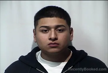 Mugshot of NAHED HIDALGO LOPEZ