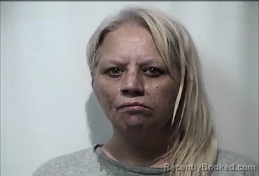 Mugshot of AMANDA KAYE COLLINS