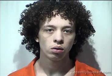 Mugshot of EVERETT HOPKINS