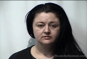 Mugshot of SHERI JOELEAN RAMIREZ