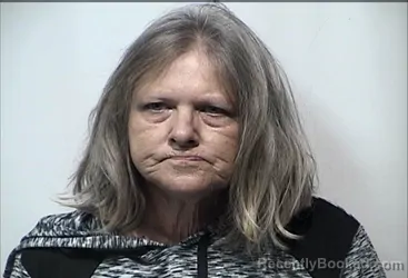 Mugshot of CHERYL DENISE PALMER