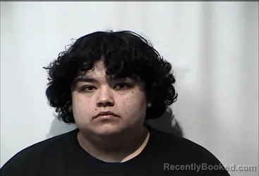 Mugshot of VANESSA MARIE VASQUEZ