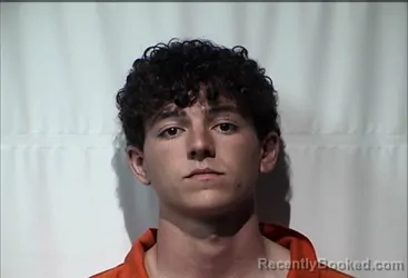 Mugshot of PEYTON BRADLEY PURVIS