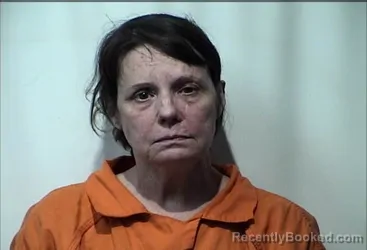 Mugshot of CHERYL DIANE HOLLIS