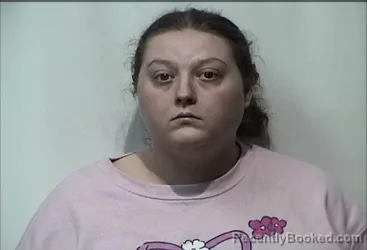 Mugshot of BRITTANY ANNE CHAPMAN