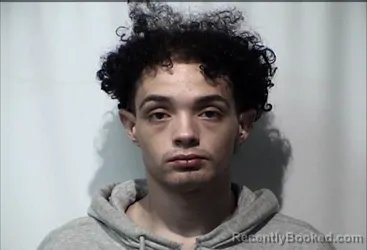 Mugshot of JOHNNY LEE JENKINS