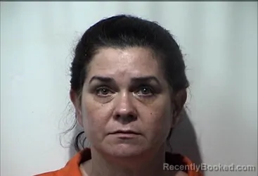 Mugshot of ALISA DAWN SEEKINS booked in Christian County, Kentucky on June 26, 2026