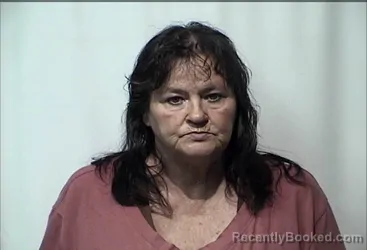 Mugshot of MICHELLE FAITH WILSON booked in Christian County, Kentucky on June 27, 2026