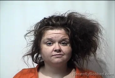 Mugshot of Ashleh Michelle Wilson booked in Christian County, Kentucky on July 27, 2026