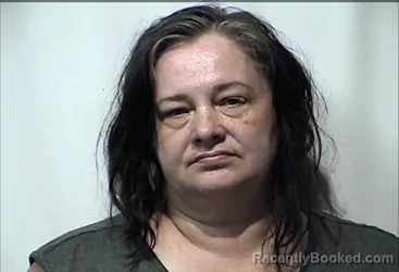 Mugshot of Julie Lee Houston booked in Christian County, Kentucky on August 17, 2026