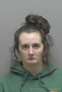 Mugshot of Hannah Renee Teseniar booked in Lincoln County, North Carolina on August 18, 2026