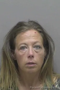 Mugshot of JENNIFER DYCUS BOWEN booked in Lincoln County, North Carolina on July 1, 2026