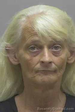 Mugshot of MINNA FAY KNOX booked in Lincoln County, North Carolina on June 30, 2026