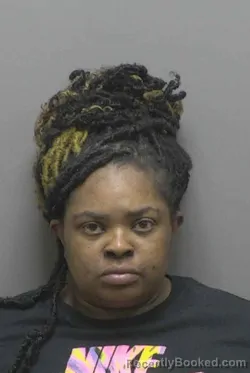 Mugshot of TOMIKA ROCHELLE FLEMING booked in Lincoln County, North Carolina on June 7, 2026