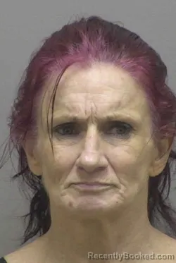 Mugshot of CARRIE HOPE FRANKLIN booked in Lincoln County, North Carolina on July 5, 2026