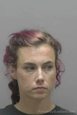Mugshot of Gabrielle Elizabeth Rogers booked in Lincoln County, North Carolina on September 14, 2026