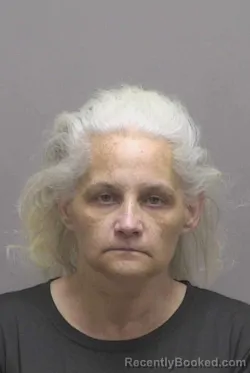 Mugshot of BRANDILYN LEANN CANIPE