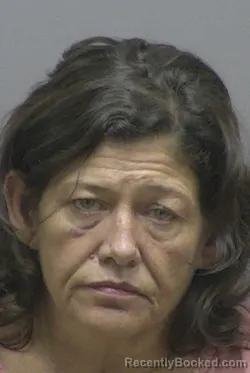 Mugshot of BOBBI JO TOWERY booked in Lincoln County, North Carolina on May 12, 2026