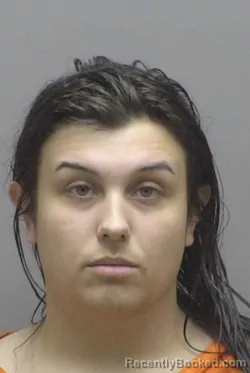 Mugshot of JACOB HUGH UPTON booked in Lincoln County, North Carolina on March 24, 2026