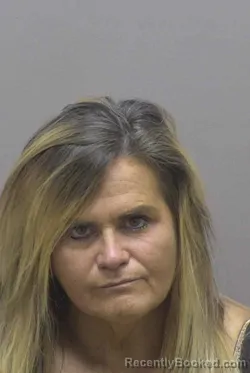 Mugshot of JODIE LANKFORD BRACKETT booked in Lincoln County, North Carolina on April 7, 2026