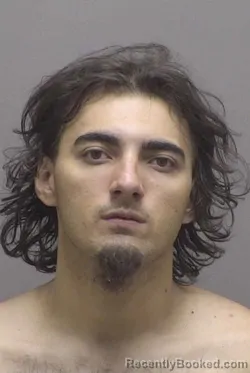 Mugshot of KODA MICHAEL CASTILLO booked in Lincoln County, North Carolina on June 7, 2026