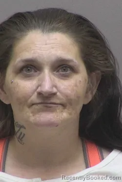 Mugshot of RHONDA JEAN BLACK booked in Lincoln County, North Carolina on April 30, 2026