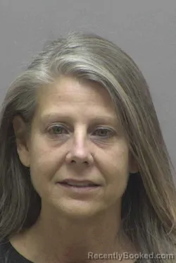 Booking photo from Lincoln County, North Carolina