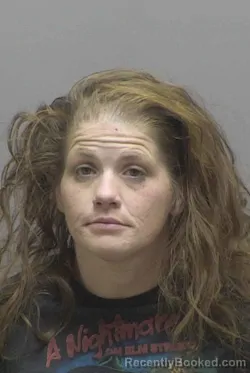 Mugshot of BRITTNEY ALEXIS FISH booked in Lincoln County, North Carolina on March 30, 2026