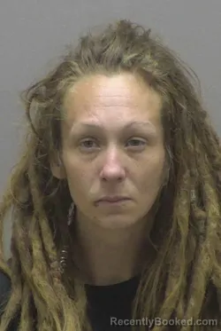 Mugshot of ALLYSSA NICOLE BOULWARE booked in Lincoln County, North Carolina on March 28, 2026