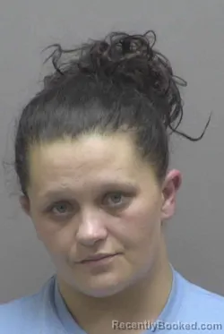 Mugshot of BRITTANI MARIE CLINE