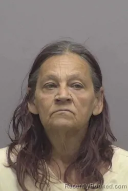 Mugshot of KIMBERLY DAWN HENSLEY booked in Lincoln County, North Carolina on March 25, 2026