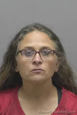 Mugshot of REBECCA ANN ROBINSON booked in Lincoln County, North Carolina on May 7, 2026