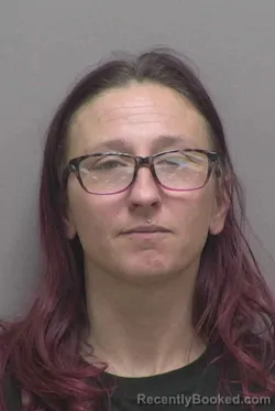 Mugshot of SUMMER RENEE FRYE booked in Lincoln County, North Carolina on March 27, 2026