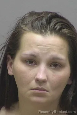 Mugshot of TIFFANY LESHAY WELCH booked in Lincoln County, North Carolina on April 2, 2026