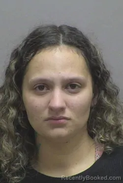 Mugshot of NATALIE BROOK JOHNSTON booked in Lincoln County, North Carolina on April 29, 2026