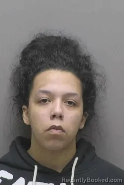 Booking photo from Lincoln County, North Carolina