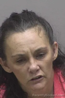 Mugshot of JESSICA LYNN GRAY booked in Lincoln County, North Carolina on April 30, 2026