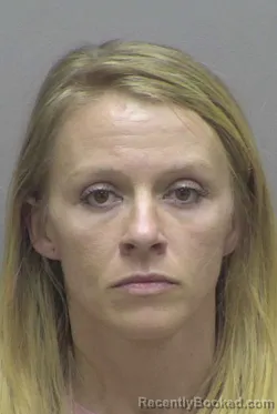 Mugshot of RYLEIGH ELIZABETH HILDEBRAN booked in Lincoln County, North Carolina on April 8, 2026