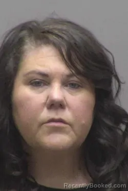 Booking photo from Lincoln County, North Carolina