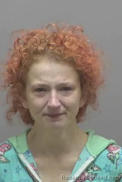 Mugshot of JIMMIE LEIGH MCCLUNEY booked in Lincoln County, North Carolina on March 27, 2026