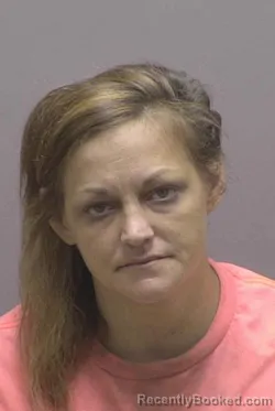 Mugshot of HEATHER STEGILL MONTGOMERY booked in Lincoln County, North Carolina on August 2, 2026
