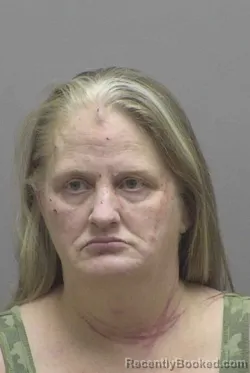 Mugshot of HEATHER CAMPBELL booked in Lincoln County, North Carolina on April 6, 2026