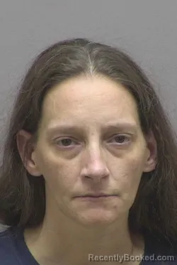 Mugshot of Hope Renee Lobdell booked in Lincoln County, North Carolina on August 26, 2026
