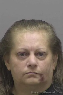 Booking photo from Lincoln County, North Carolina