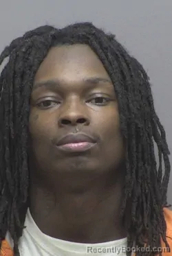 Booking photo from Lincoln County, North Carolina