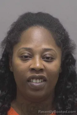 Mugshot of Briana Qutisha Murphy booked in Lincoln County, North Carolina on August 22, 2026