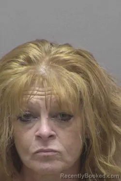 Mugshot of KIMBERLY RICHARDSON INGRAM booked in Lincoln County, North Carolina on July 29, 2026