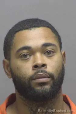 Booking photo from Lincoln County, North Carolina